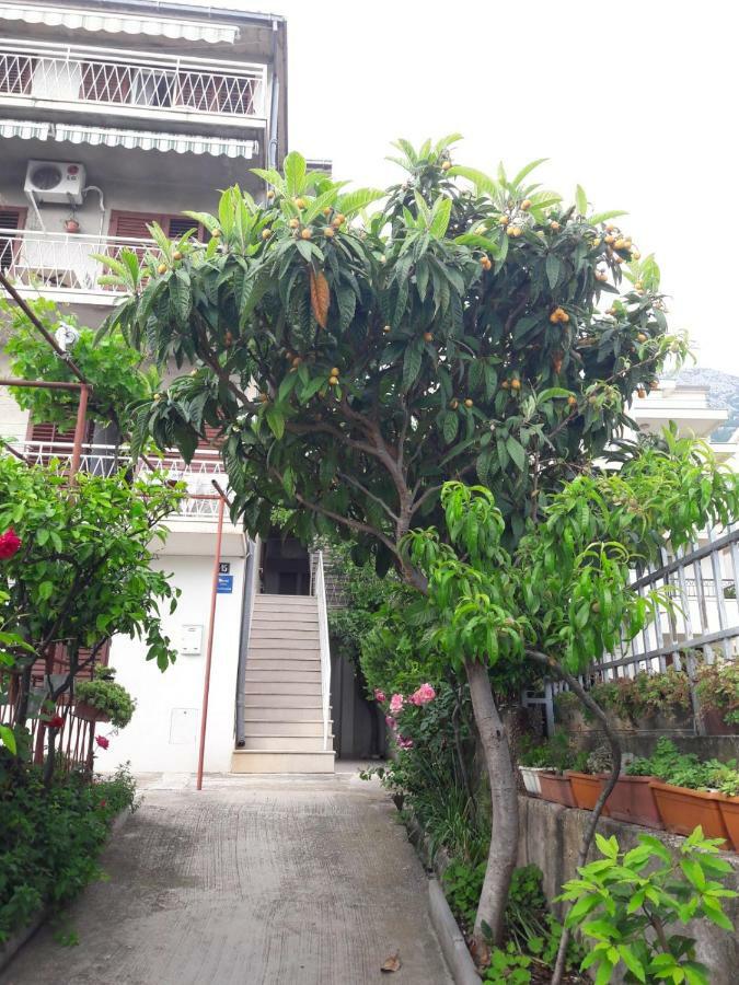 Apartman Adriatic Pavlinovic - Makarska Extérieur photo